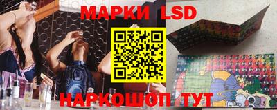 индика Заводоуковск