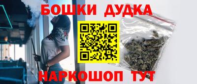 индика Заводоуковск