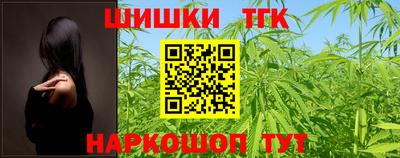 индика Заводоуковск