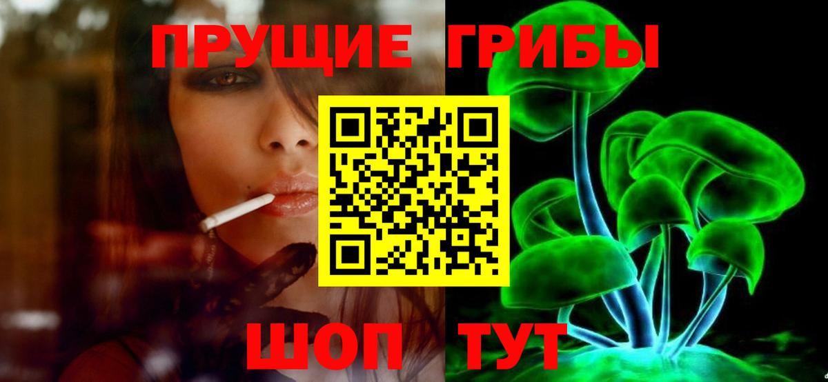 Набережные Челны  Псилоцибиновые грибы Psilocybine cubensis  Вход с VPN  Псилоцибиновые грибы Cubensis 